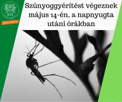 Egy szúnyog ól egy ágon - Szúnyoggyérítést végeznek május 14-én, a napnyugta utáni órákban