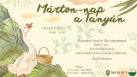 A program meghívója