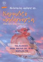 Napindító madárvárta
