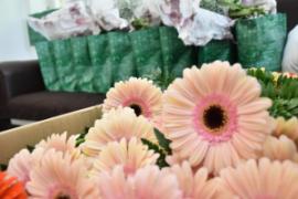 Védőnők napi virágok és ajándékcsomagok