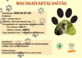 macska_ivartalanitas