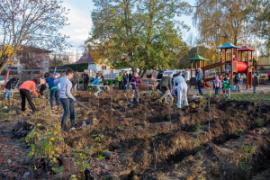 Kovács Péter polgármester összefoglalója a november 07. és 20. közötti eseményekről