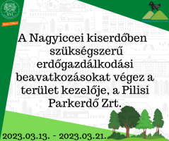 A Nagyiccei kiserdőben szükségszerű erdőgazdálkodási beavatkozásokat végez a terület kezelője, a Pilisi Parkerdő Zrt.