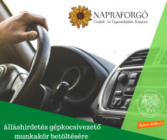 Gépkocsivezetőt keres a Napraforgó Család- és Gyermekjóléti Központ.