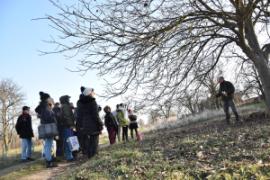 Ádám Attila István főkertész magyarázza a metszés alapjait a megjelenteknek.