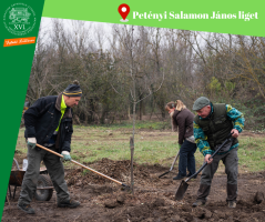 Önkéntes napot tartottak a Petényi Salamon János Arborétumnál