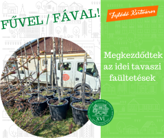 Megkezdődtek az idei tavaszi faültetések!