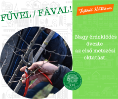 Nagy sikernek örvendett az első metszés oktatás 