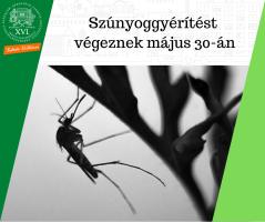Szúnyoggyérítést végeznek május 30-án