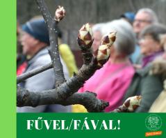 Rügyező ág, háttérben emberek. Kísérőszöveg - Fűvel/Fával!