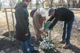 Emléktáblát avattak Mohácsi Ferenc olimpikon emlékére