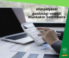 A kreatívon olvasható szöveg: álláspályázat gazdasági vezetői munkakör betöltésére