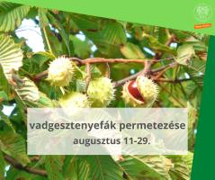 a kreatívon olvasható felirat: vadgesztenyefák permetezése, augusztus 11-29.