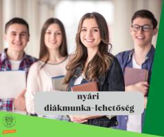 nyári diákmunka-lehetőség