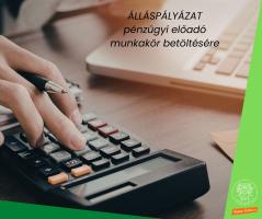 a kreatívon olvasható szöveg: álláspályázat pénzügyi előadó munkakör betöltésére