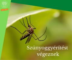 szúnyoggyérítést végeznek