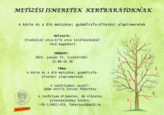 Metszési ismeretek - a körte és a dió metszése. Leirat az alább letölthető dokumentumban.