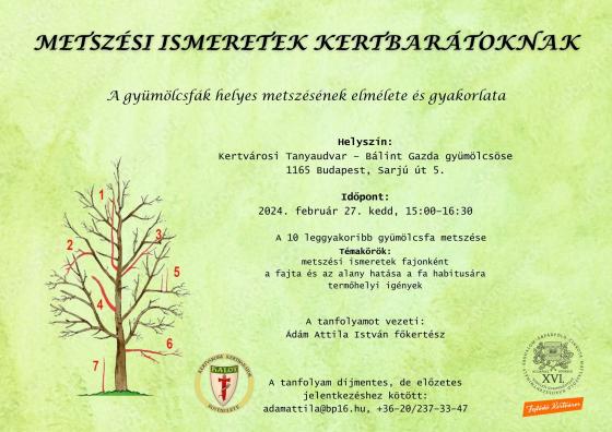 Metszési ismeretek kertbarátoknak