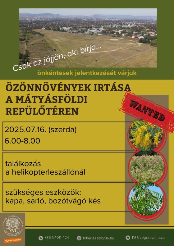 A kreatívon található szöveg teljes egészében olvasható a leírásban