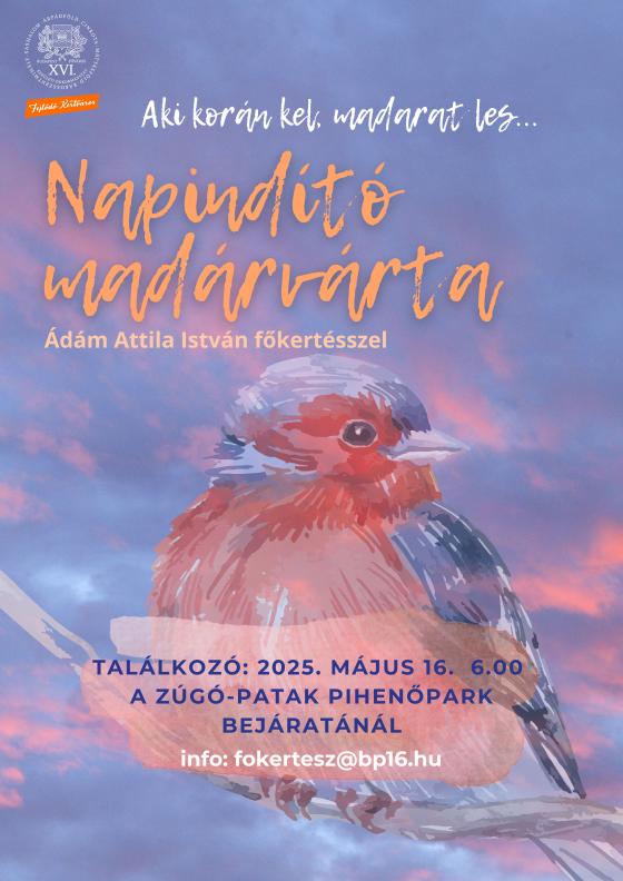 Napindító madárvárta