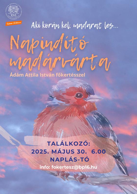 Napindító madárvárta