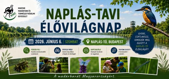 A plakát leirata a törzsszövegben