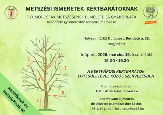 METSZÉSI ISMERETEK KERTBARÁTOKNAK GYÜMÖLCSFÁK METSZÉSÉNEK ELMÉLETE ÉS GYAKORLATA - Különféle gyümölcsfák termőre metszése plakát