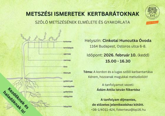 METSZÉSI ISMERETEK KERTBARÁTOKNAK - SZŐLŐ METSZÉSÉNEK ELMÉLETE ÉS GYAKORLATA