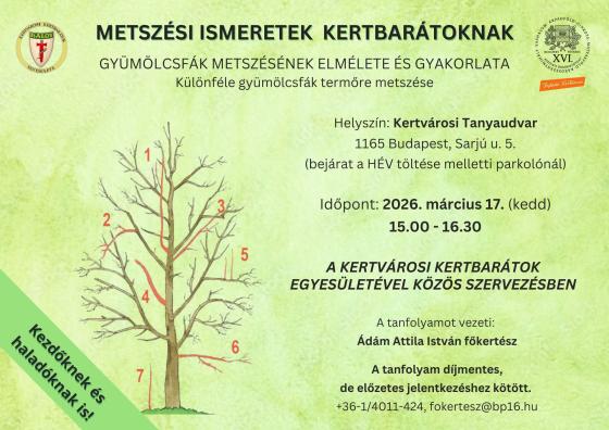 METSZÉSI ISMERETEK KERTBARÁTOKNAK GYÜMÖLCSFÁK METSZÉSÉNEK ELMÉLETE ÉS GYAKORLATA - Különféle gyümölcsfák termőre metszése plakát