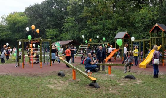 Megszépült Sashalmi-erdő