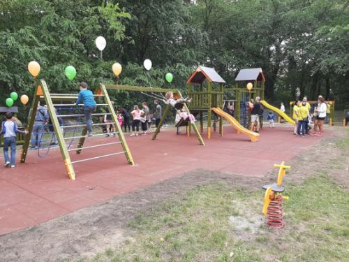 Megszépült Sashalmi-erdő