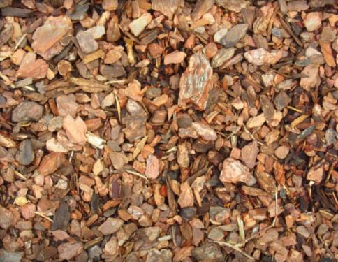 Hogyan védjük növényeinket? 3