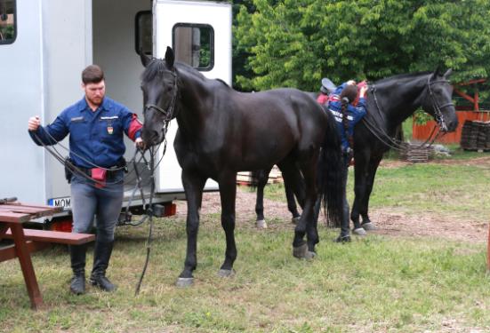 Hegedűs Ildikó címzetes rendőr zászlós és Kertész Attila Norbert rendőr törzsőrmester lovaikkal Viharral és Vidorral