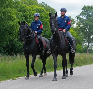 Hegedűs Ildikó címzetes rendőr zászlós és Kertész Attila Norbert rendőr törzsőrmester lovaikkal Viharral és Vidorral