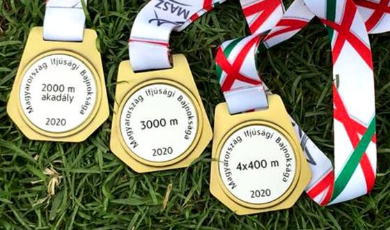 Pálvölgyi Levente érmei