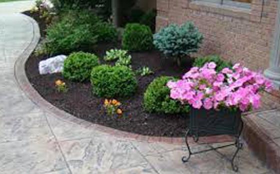 Hogyan védjük növényeinket? 1