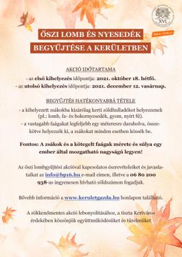 Őszi lomb és nyesedékgyűjtés a kerületben