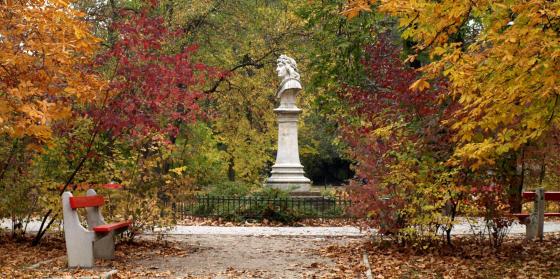 Mátyás király tér