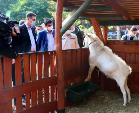 János utcai idősek napközije