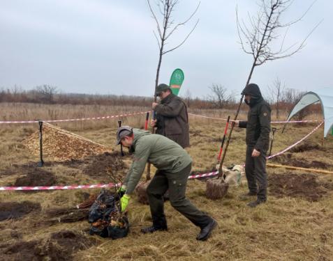Megkezdődött az erdőtelepítés