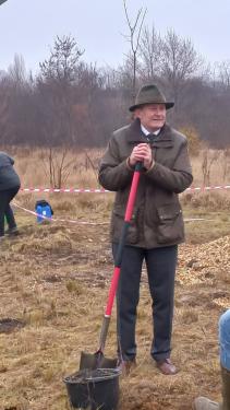 Megkezdődött az erdőtelepítés