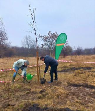 Megkezdődött az erdőtelepítés