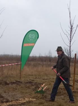 Megkezdődött az erdőtelepítés