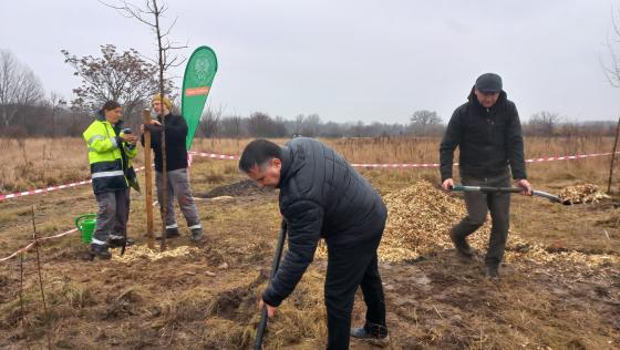 Megkezdődött az erdőtelepítés