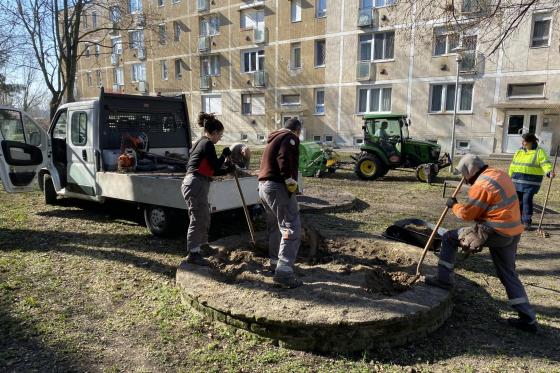 Lándzsa parkosítás