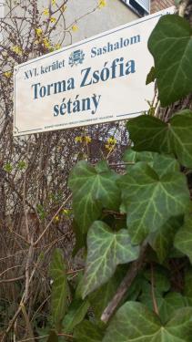 torma_zsofia_setany_4