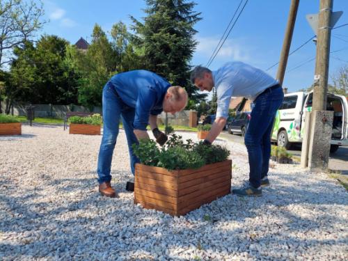 Szász József alpolgármester és Bácsi Gergely a Kerületgazda Szolgáltató műszaki vezetője zöldterületet gondoz a Georgina utca – Gazdaság út sarkán lévő egykori cinkotai zsidótemetőben