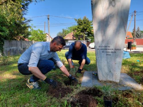 Szász József alpolgármester és Bácsi Gergely a Kerületgazda Szolgáltató műszaki vezetője zöldterületet gondoz a Georgina utca – Gazdaság út sarkán lévő egykori cinkotai zsidótemetőben