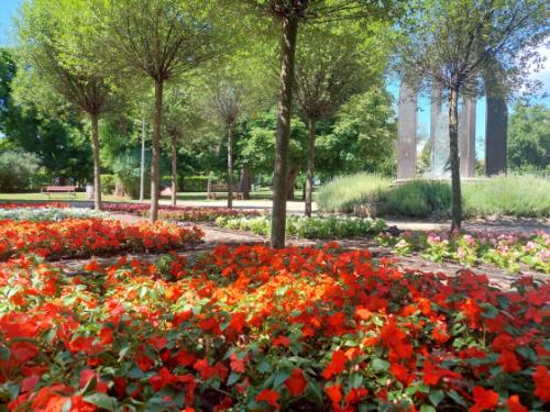 virágok a Kertvárosi Olimpikonok parkjában