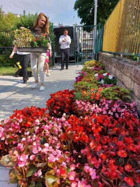 Színpompás egynyári növényeket kaptak a kerületi bölcsődék, óvodák
